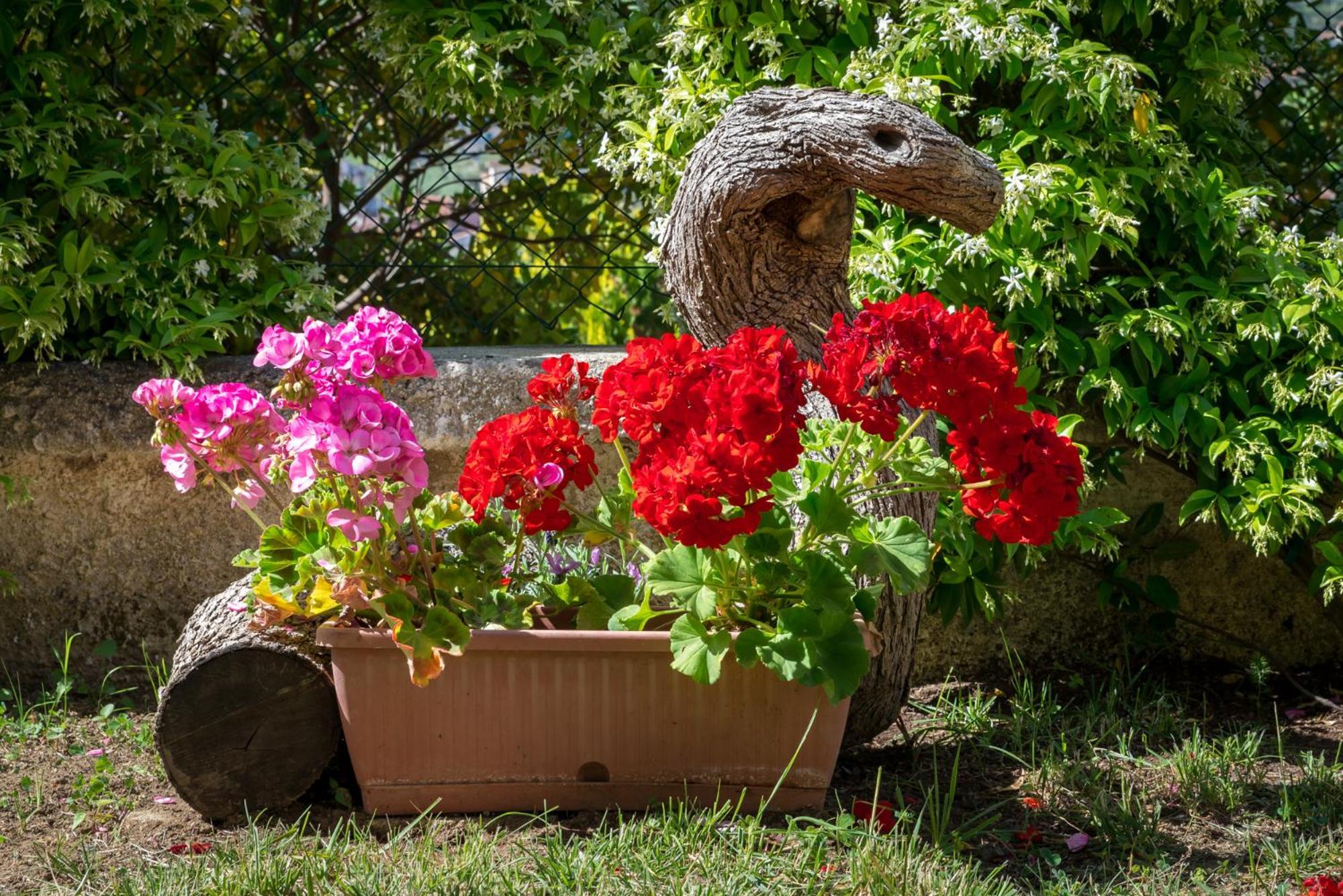 אגרופולי B&B Hibiscus מראה חיצוני תמונה